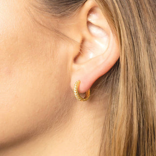 14K Gold-Dipped Paved Hoop Earring: ONE SIZE / GLD