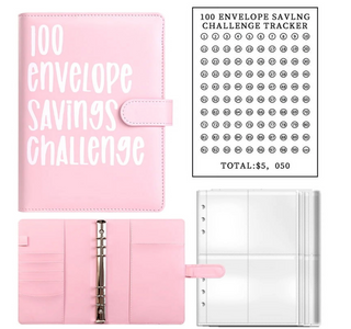 100 Envelope Savings Challenge Binder