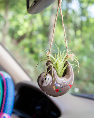 Natural Life: Faux Succulent Car Charm Sloth