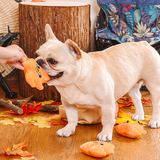 HugSmart Pet - Autumn Tailz  |  Leaf Bag - Interactive Toy